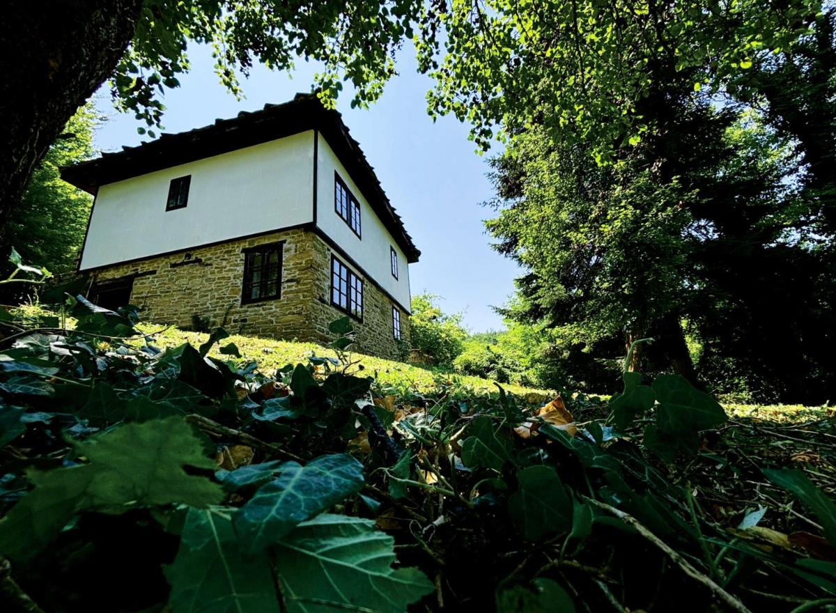Guest House Petko Kichukov - Housity