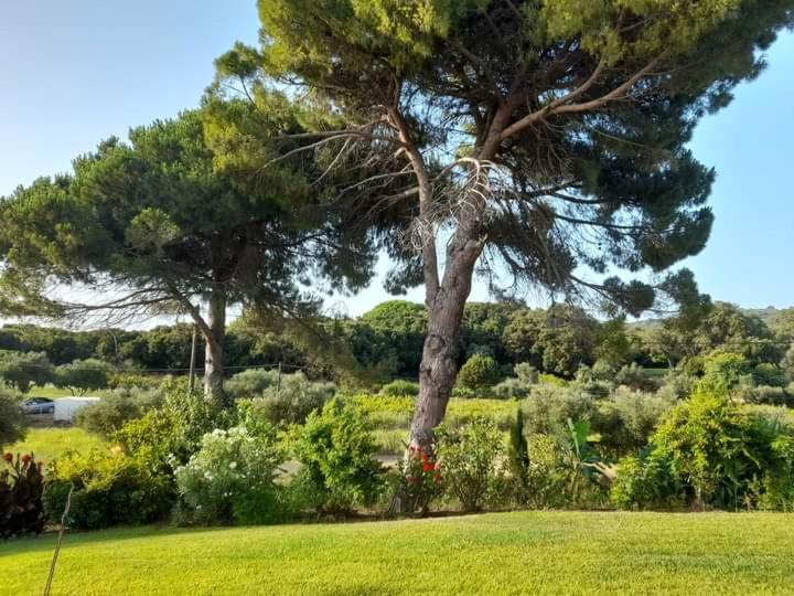 Armiriki Apartments - Housity