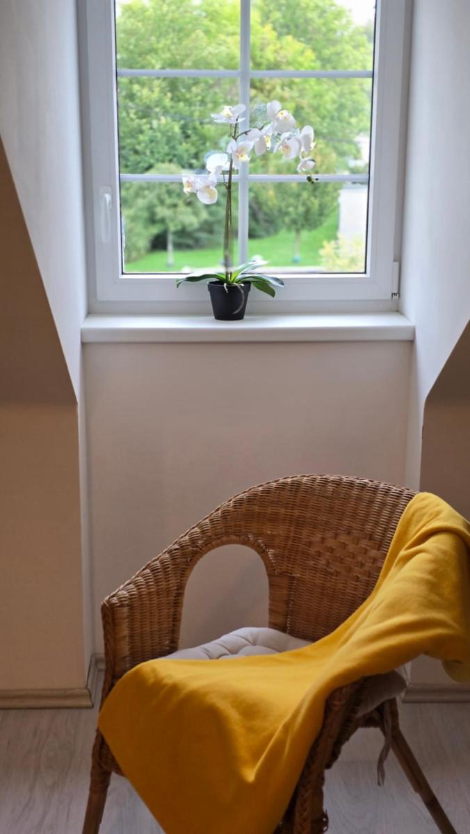 Studio - Café Princ pod Hradem, KLIMA, WiFi - Housity
