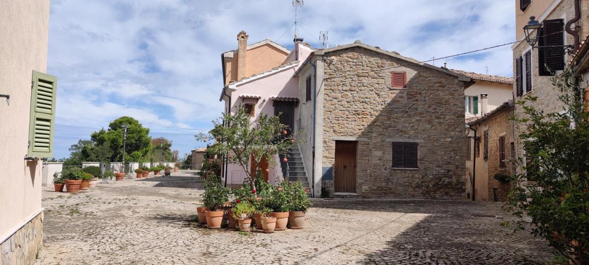 Celeste Erard Guest House - Housity