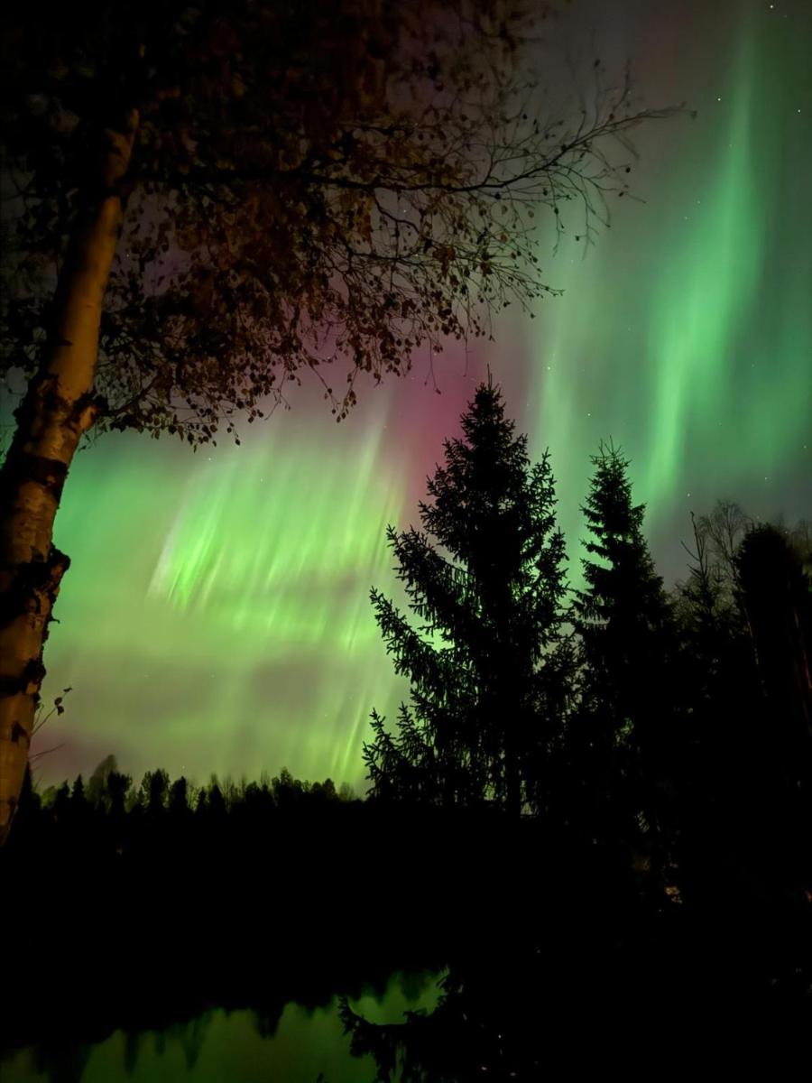 Lomavekarit Apartments - Housity