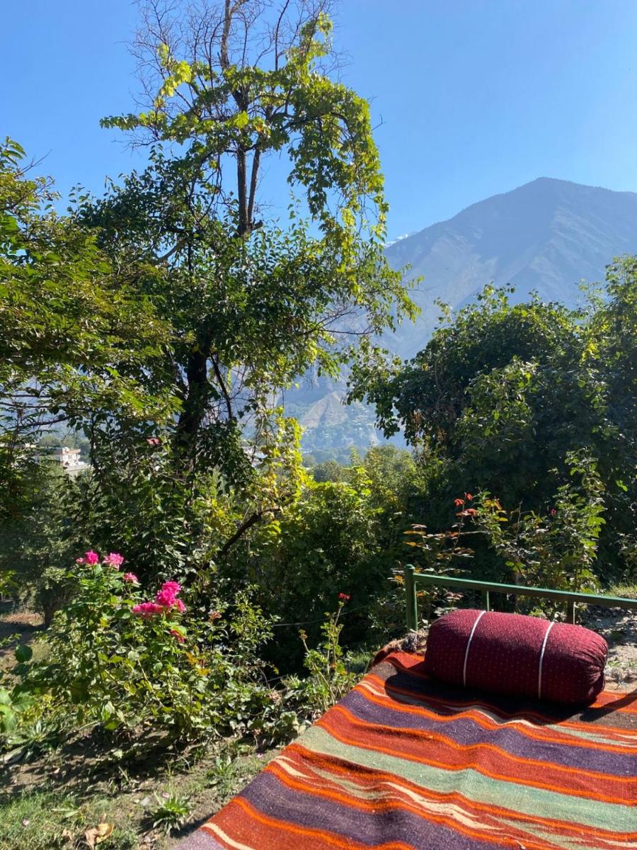 Chitral Green Guest House - Housity