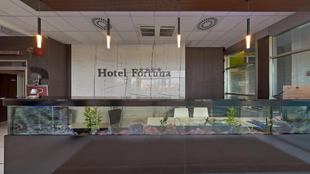 Hostel Fortuna - Housity