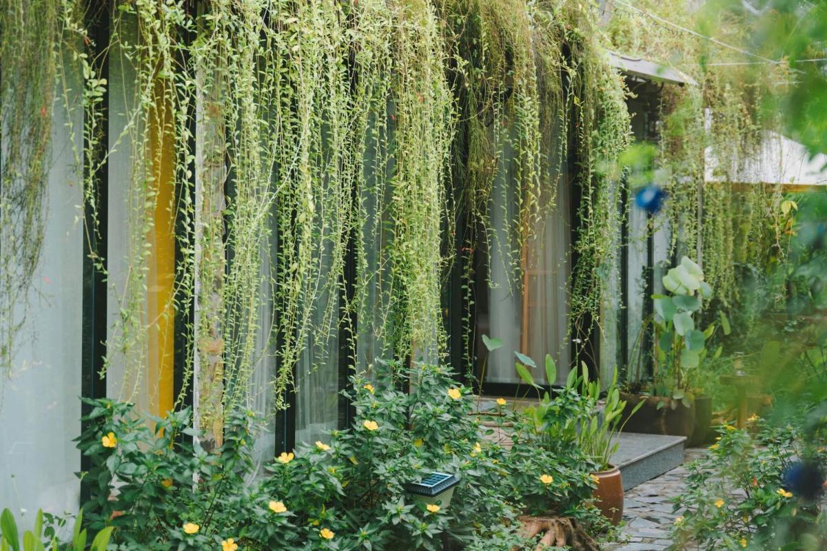 Bến Đò Xưa Homestay & Coffee - Housity