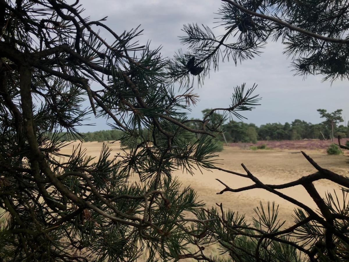 Het Natuurhuisje op de Veluwe - Housity