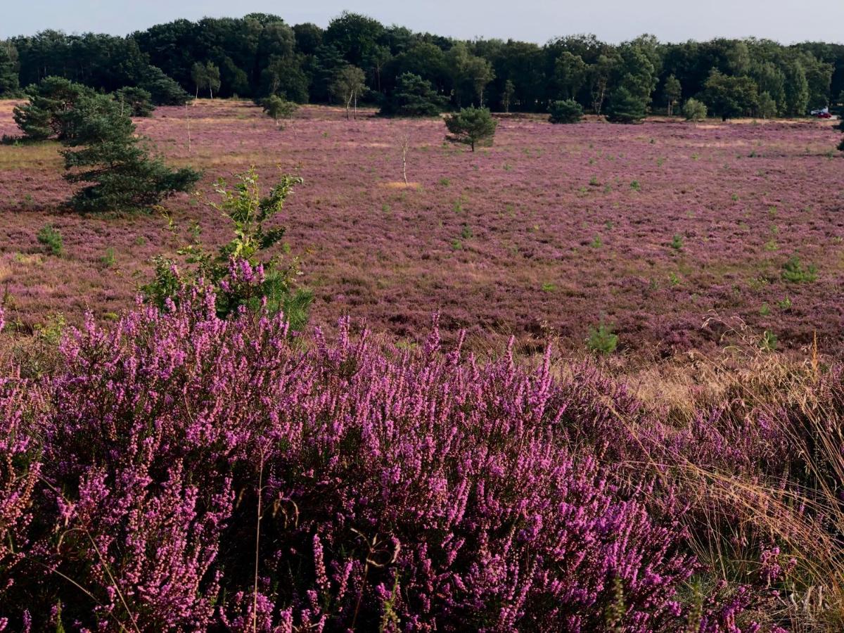 Het Natuurhuisje op de Veluwe - Housity