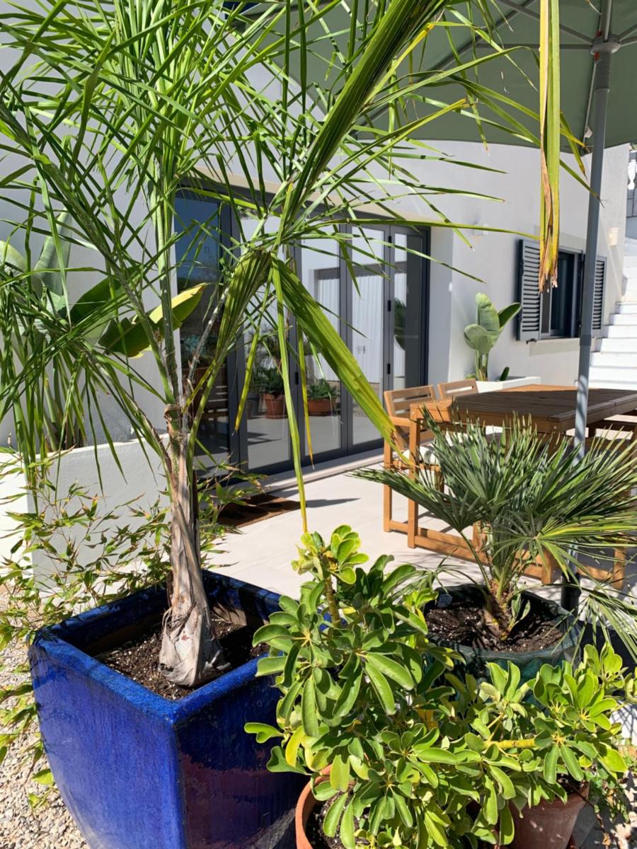 A Tranquil Garden Apartment, Carvoeiro - Benagil - Housity