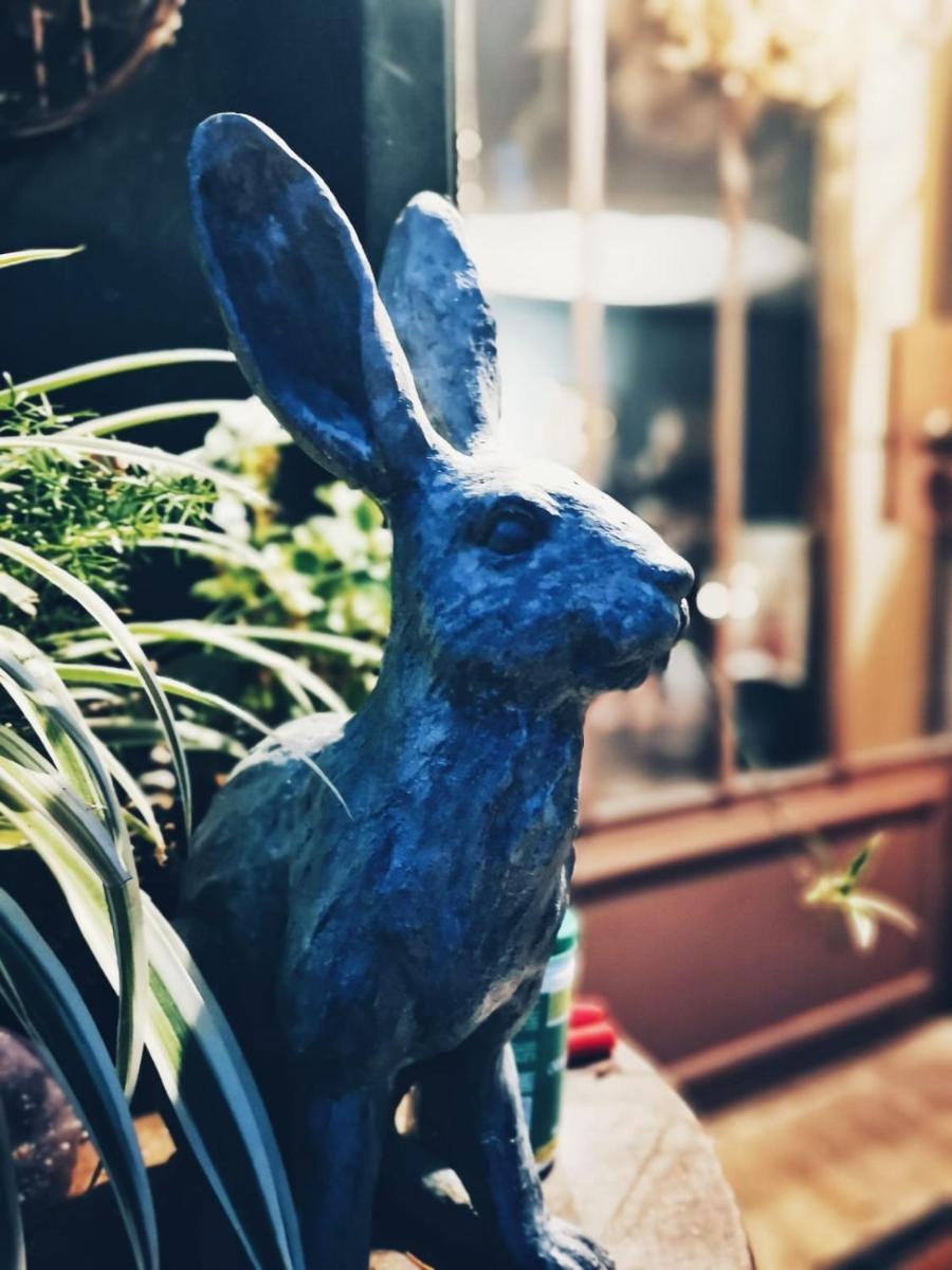 Casina Morgana B&B - Housity