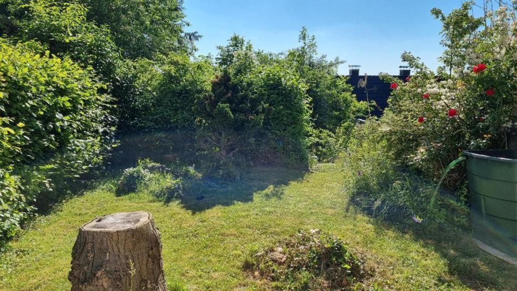 Appartement zum Entspannen - Housity