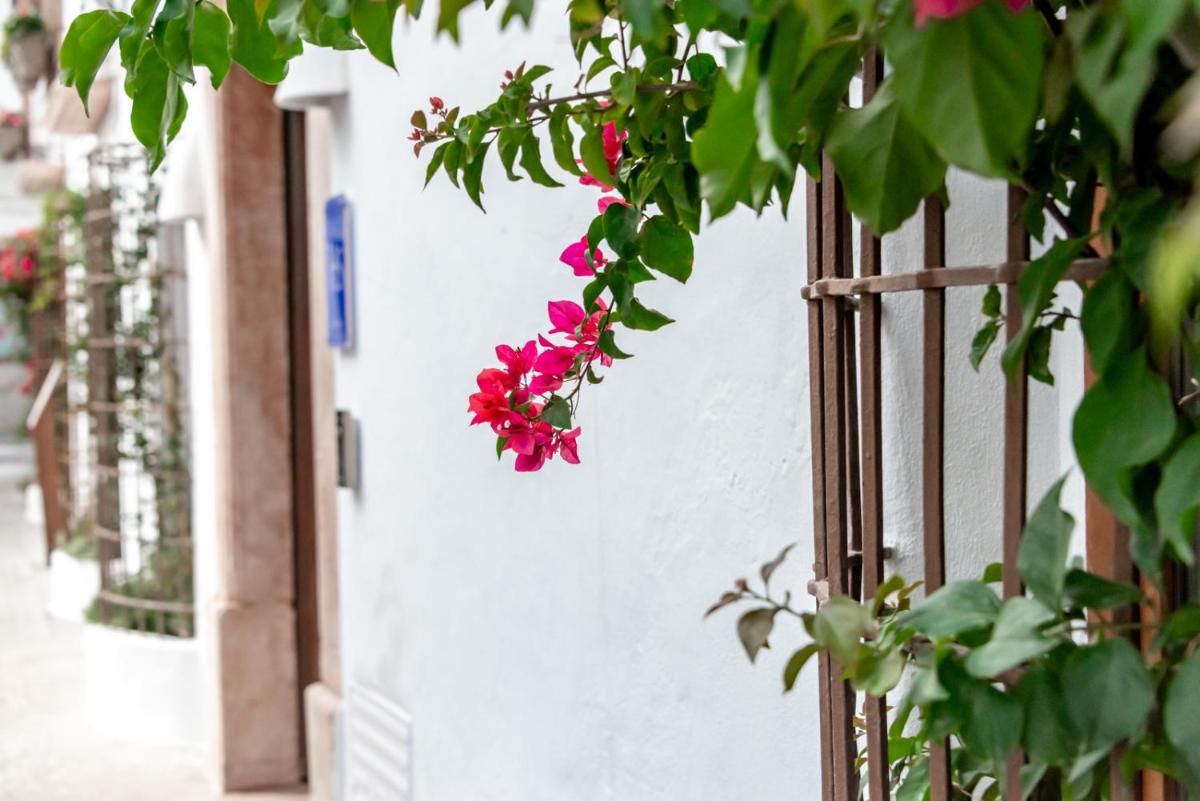 Maison Salva by Santas Hotels - Housity
