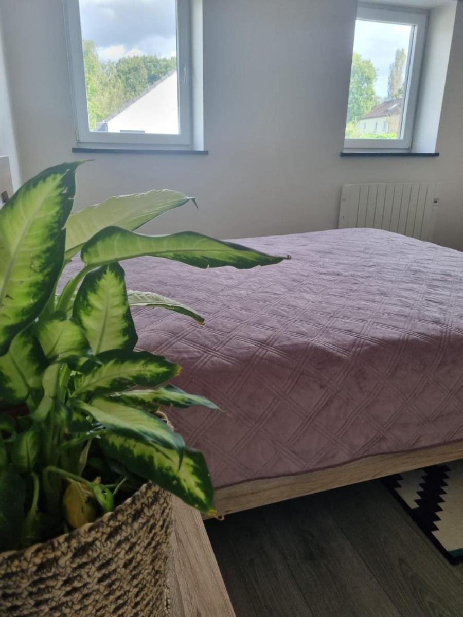 Charmante chambre bucolique - Housity