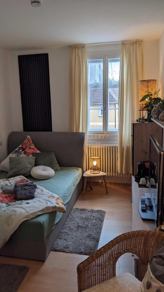 Quartier Goldener Löwe - Housity