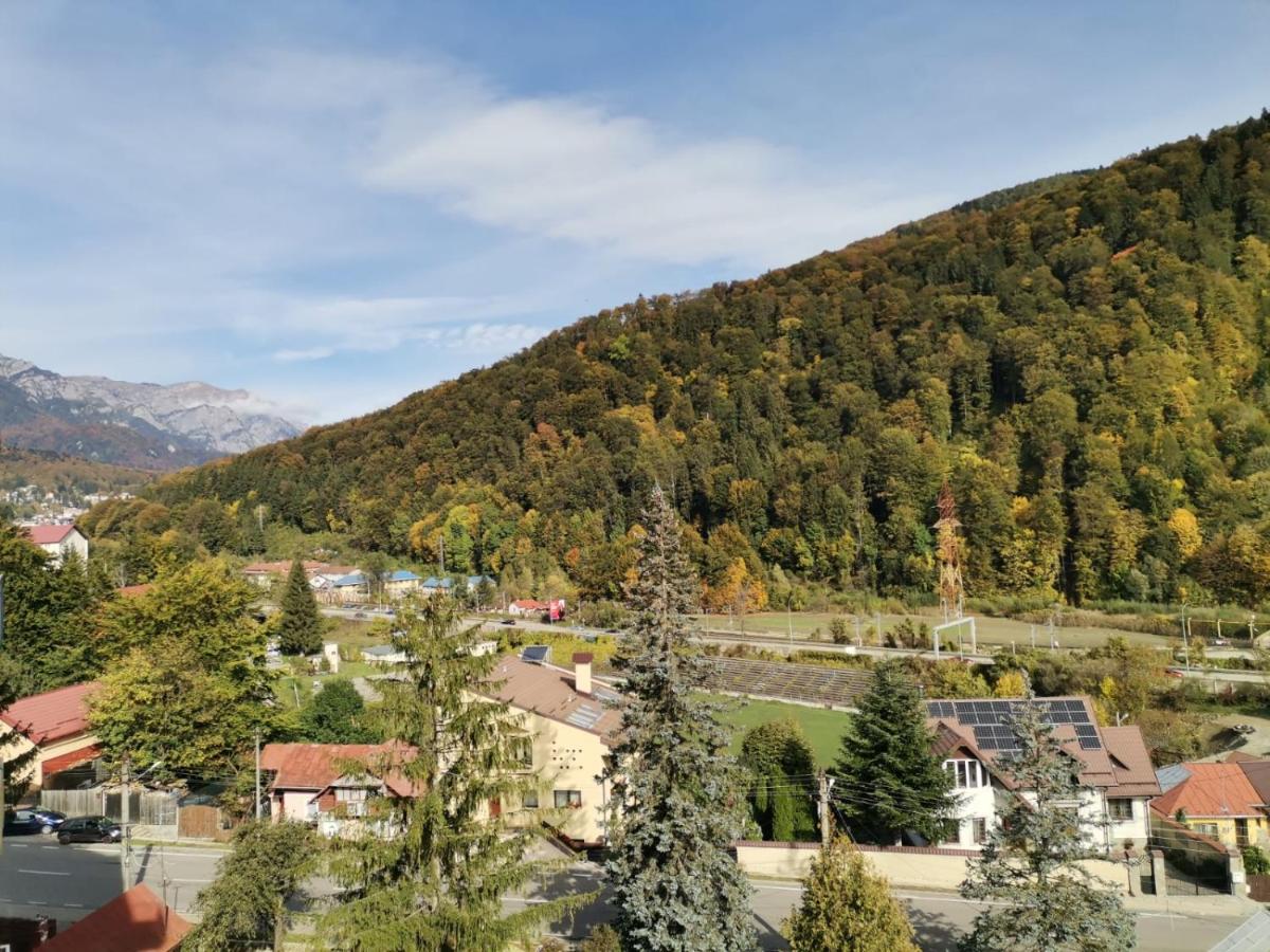 Amazing Brownie by Miro Apartment - Housity