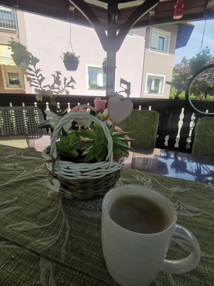 Apartmani Jastreb - Housity