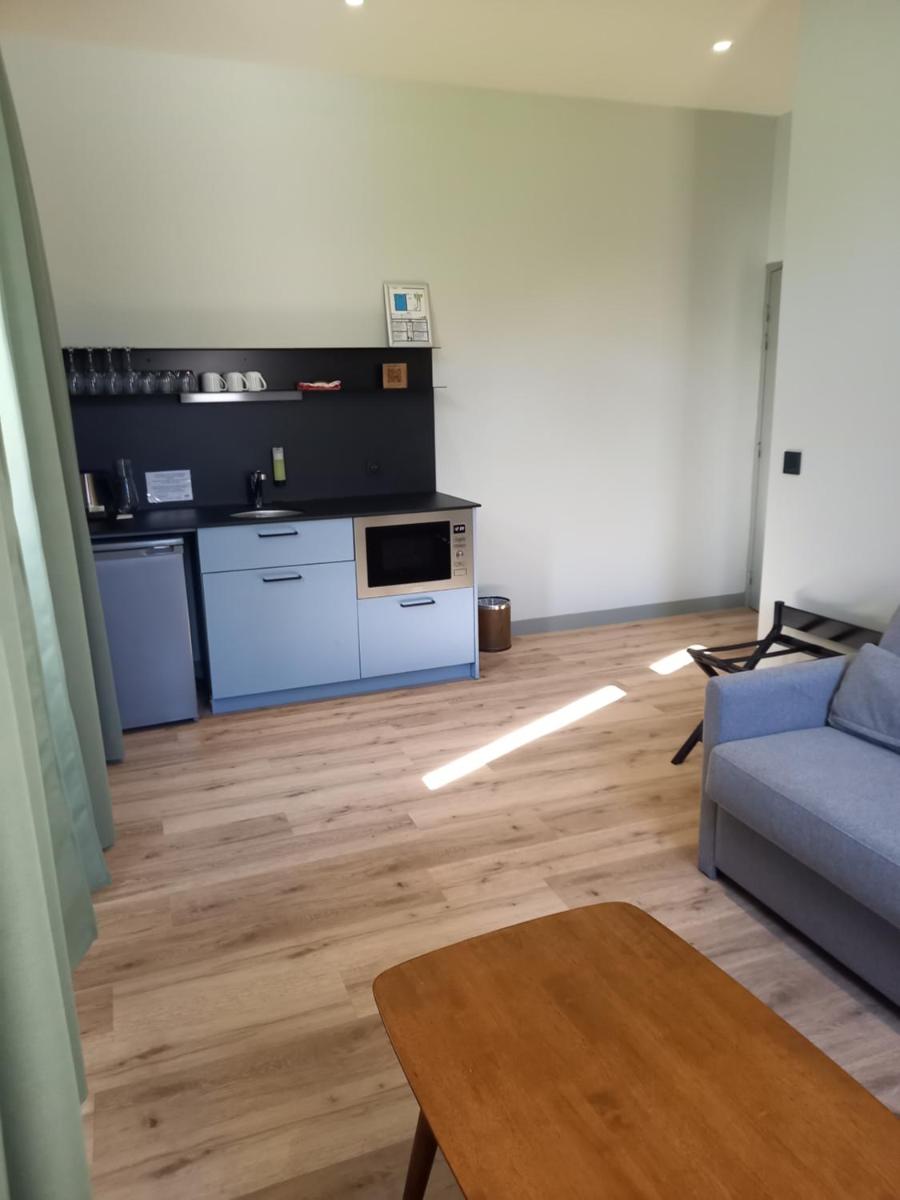 Cuisine ou kitchenette dans l'établissement La Maison Rabelais