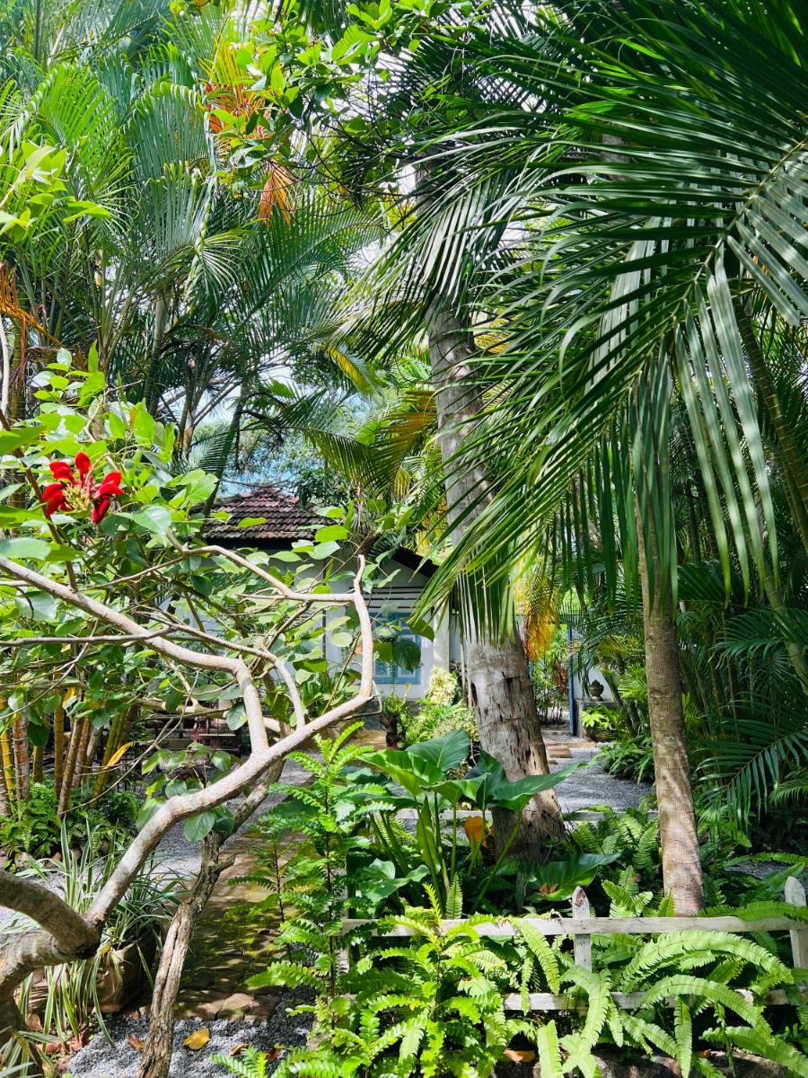 Krishan Villa - Housity