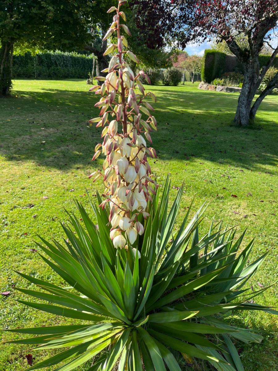 La villa du fresneaux - Housity