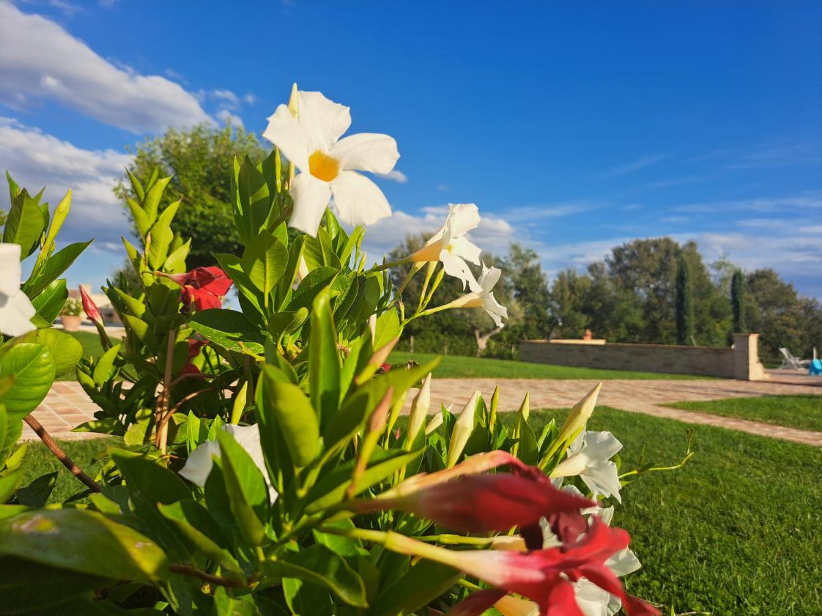 VILLA VERNASCHI - Housity