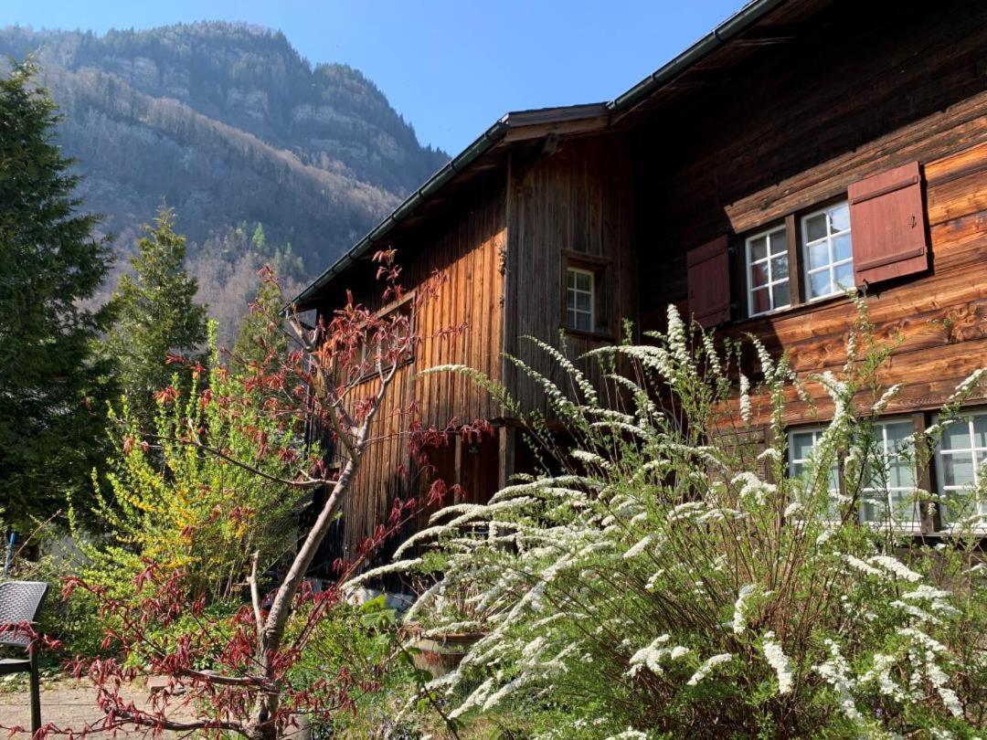 Revier lauschig und charmant - Housity