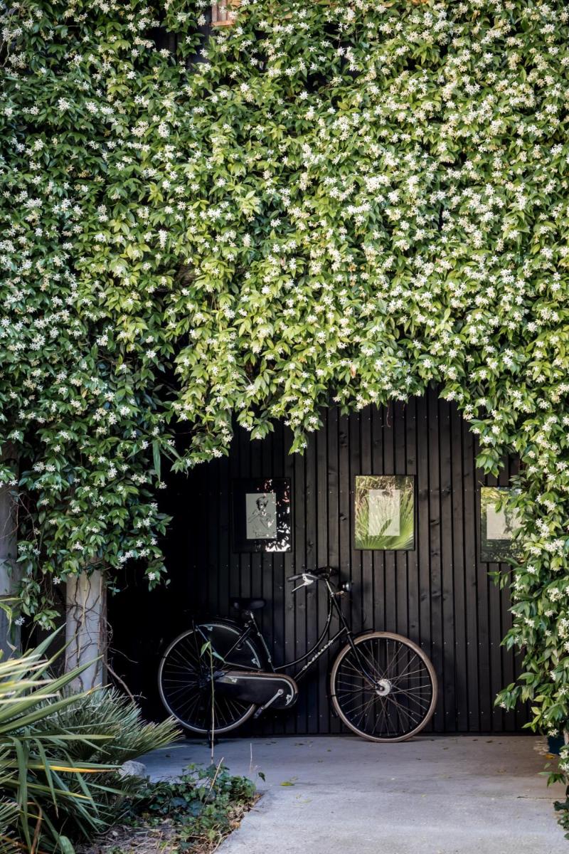 Vélo sur le terrain de l'établissement Hôtel Ville d'Hiver ou dans les environs