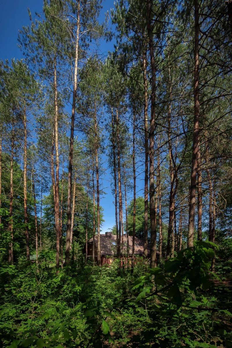 Dom na Podlasiu - Housity