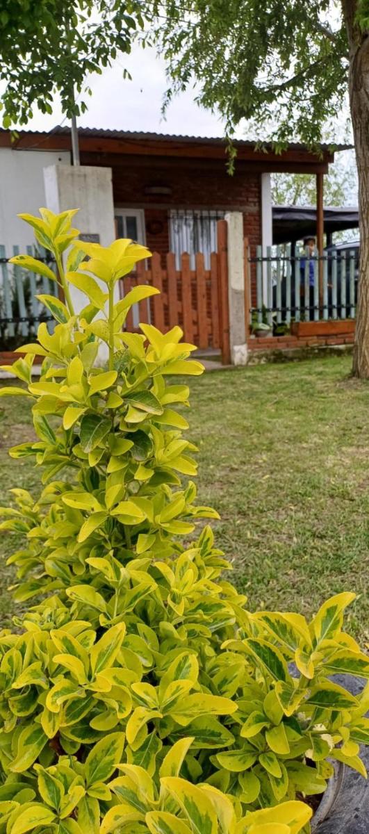 Casita los Sauces - Housity