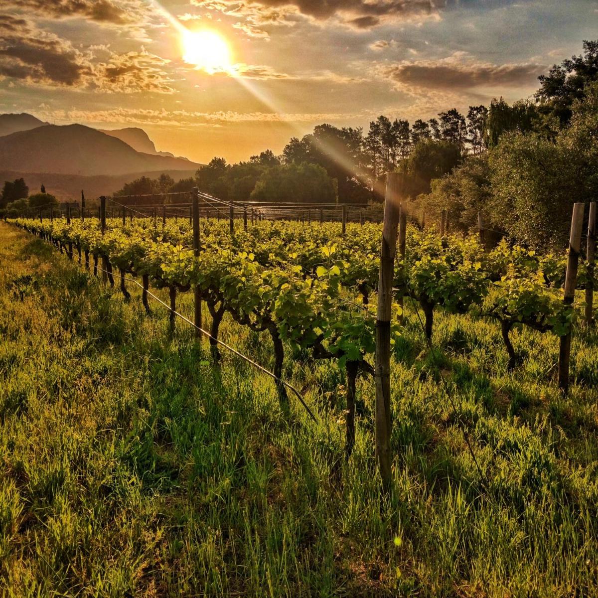 Glamping at The Well in Franschhoek - Housity