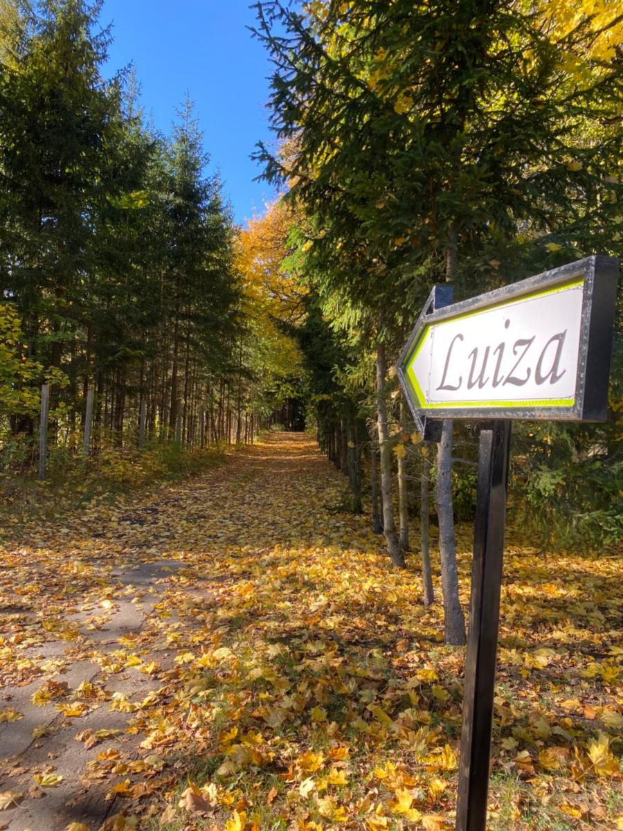 Królowa Luiza i Wiking - Housity
