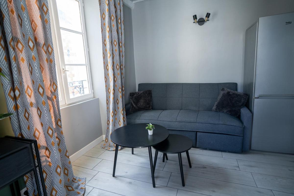 CELESTE APPART - Grand appartement centre ville - Refait à neuf - Housity
