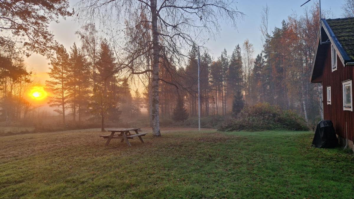 Lidsbergs torp i Ölme från år 1910 Ett eget mysigt torp med kakelugn, lågt i tak, sovrum på loft med snedtak bäddsoffa i v-rum trädgård och gasgrill - Housity