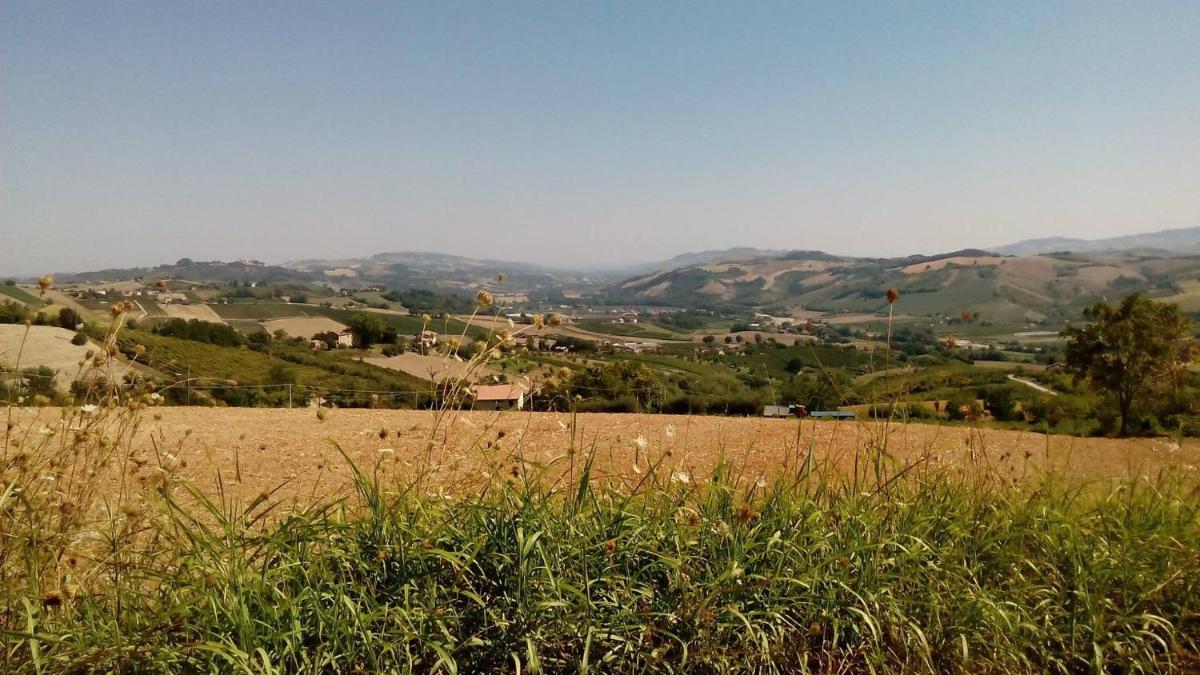 Villa Liliana, Exclusive Property - Housity