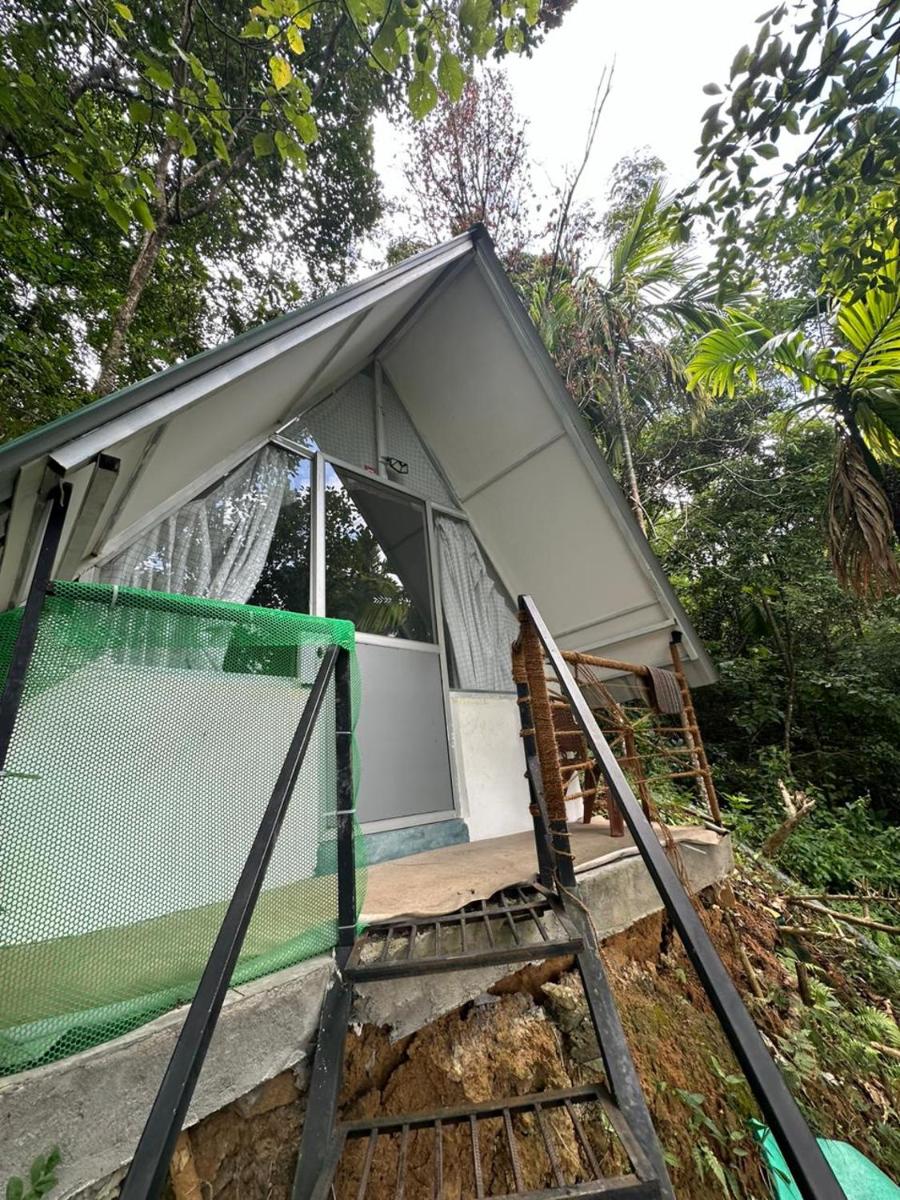 New Elkaduwa LOFT Hotel - Housity