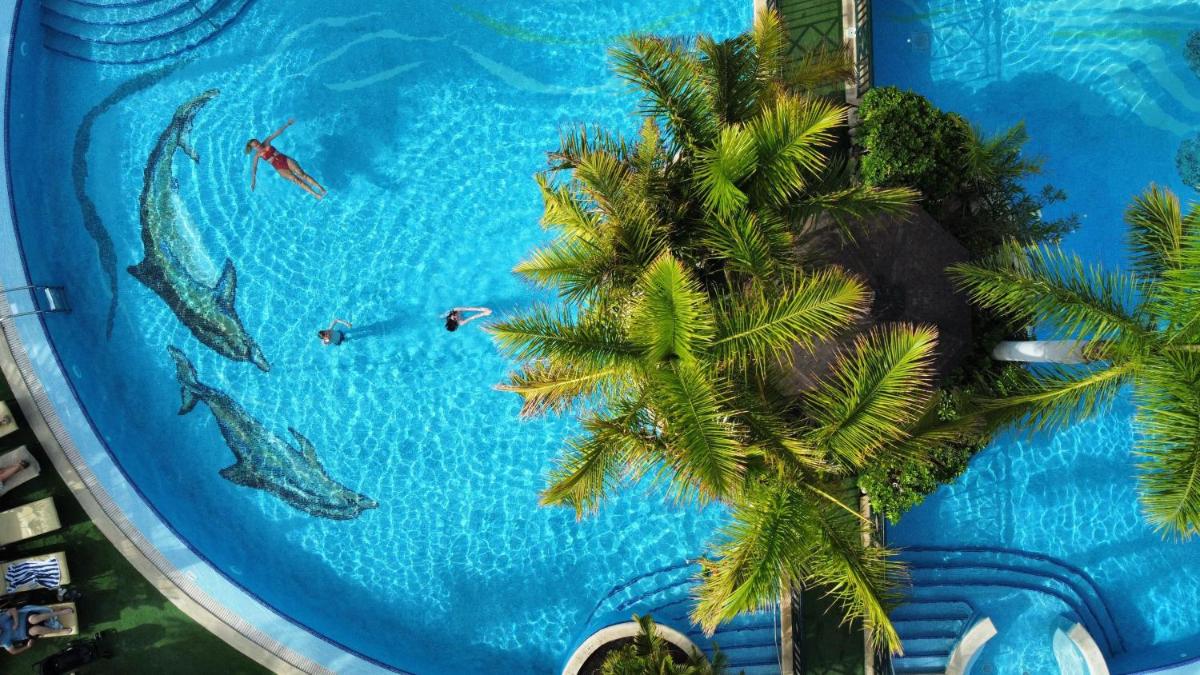 una vista aérea de una piscina con delfines en el agua en Green Garden Eco Resort, en Playa de las Américas