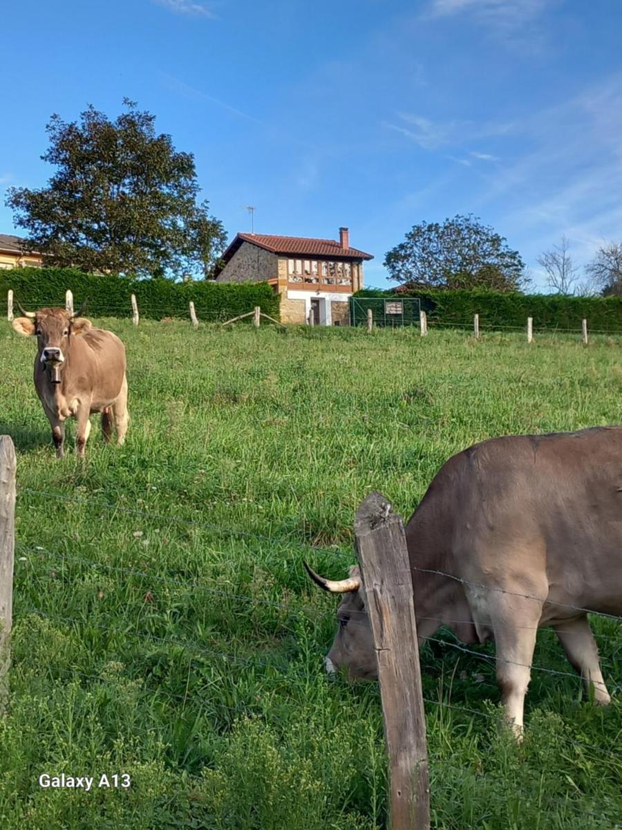 Casa Rural El Mirador de Villaverde - Housity