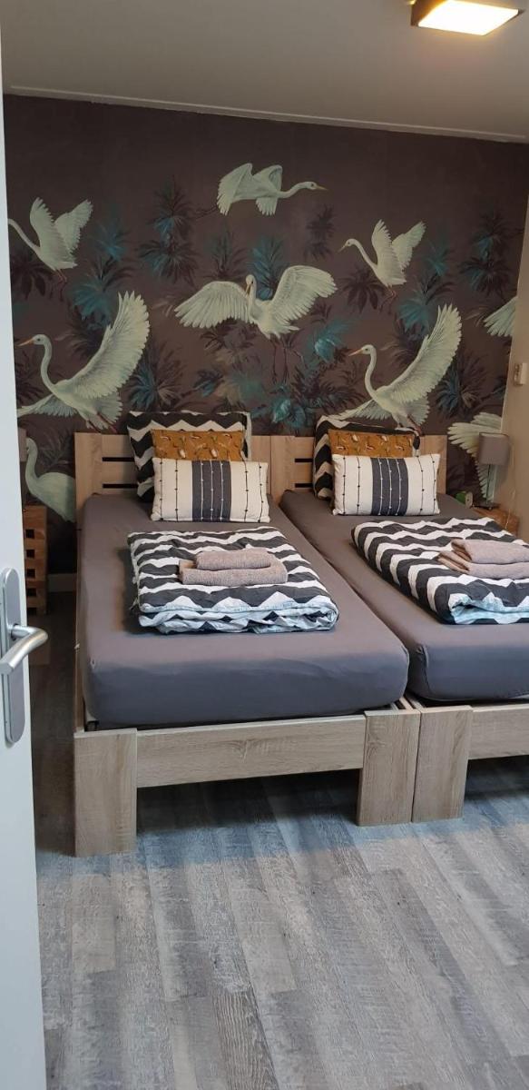 JaBaKi Garden House - Housity