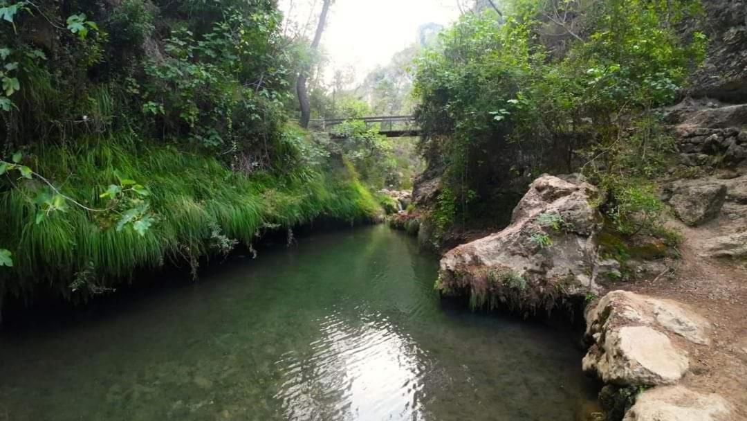 Apartamentos Centro Confor 3 - Housity