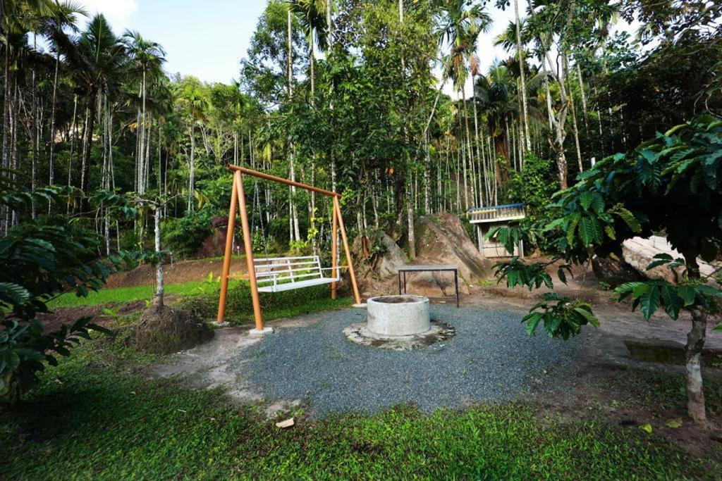 Cave Valley Wayanad - Housity