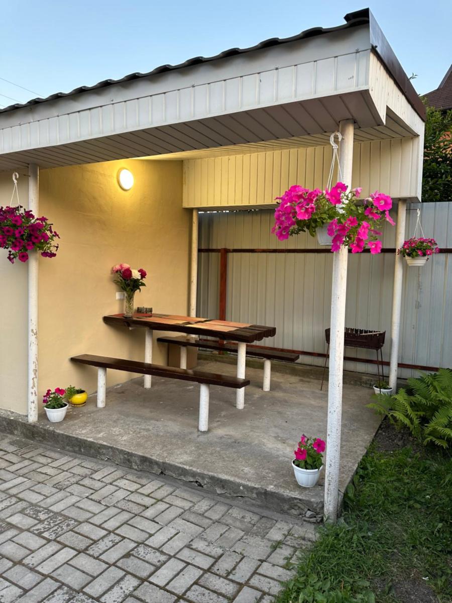 Vesela Bdzhilka - Housity