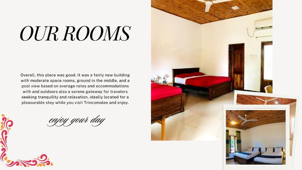 ITALIAN GUEST - Housity