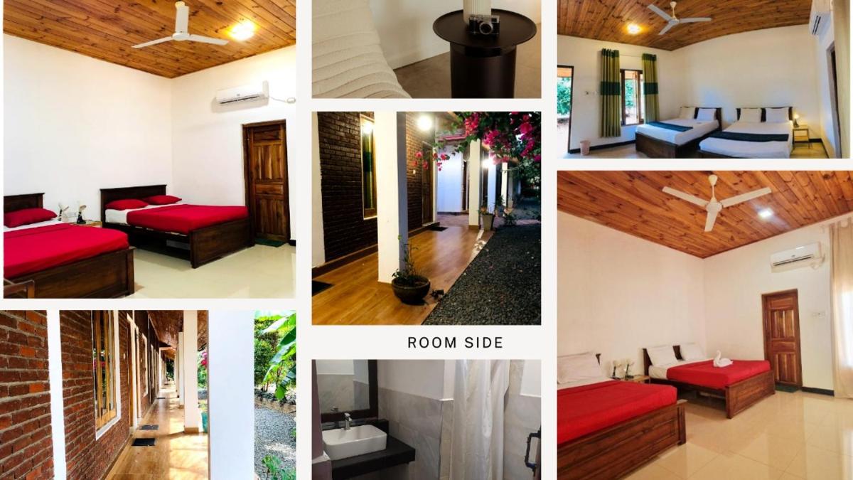 ITALIAN GUEST - Housity