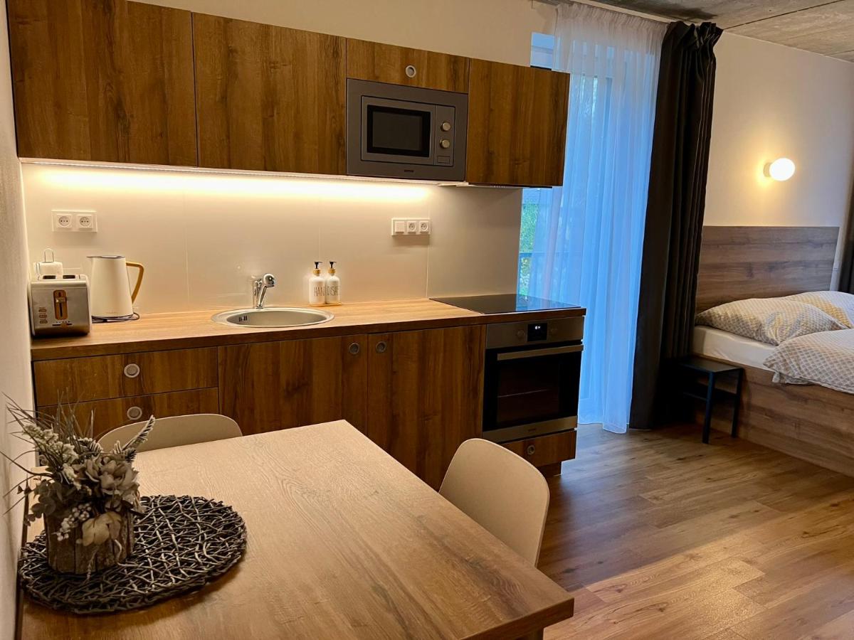 Apartmán pod sjezdovkou - Housity