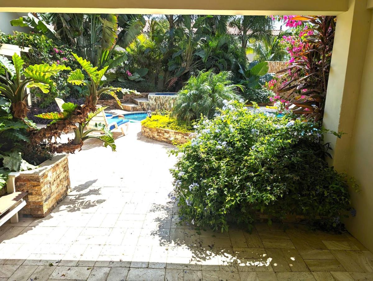 Adorable 1-bedroom-apartment 2 km from Eagle beach - Housity