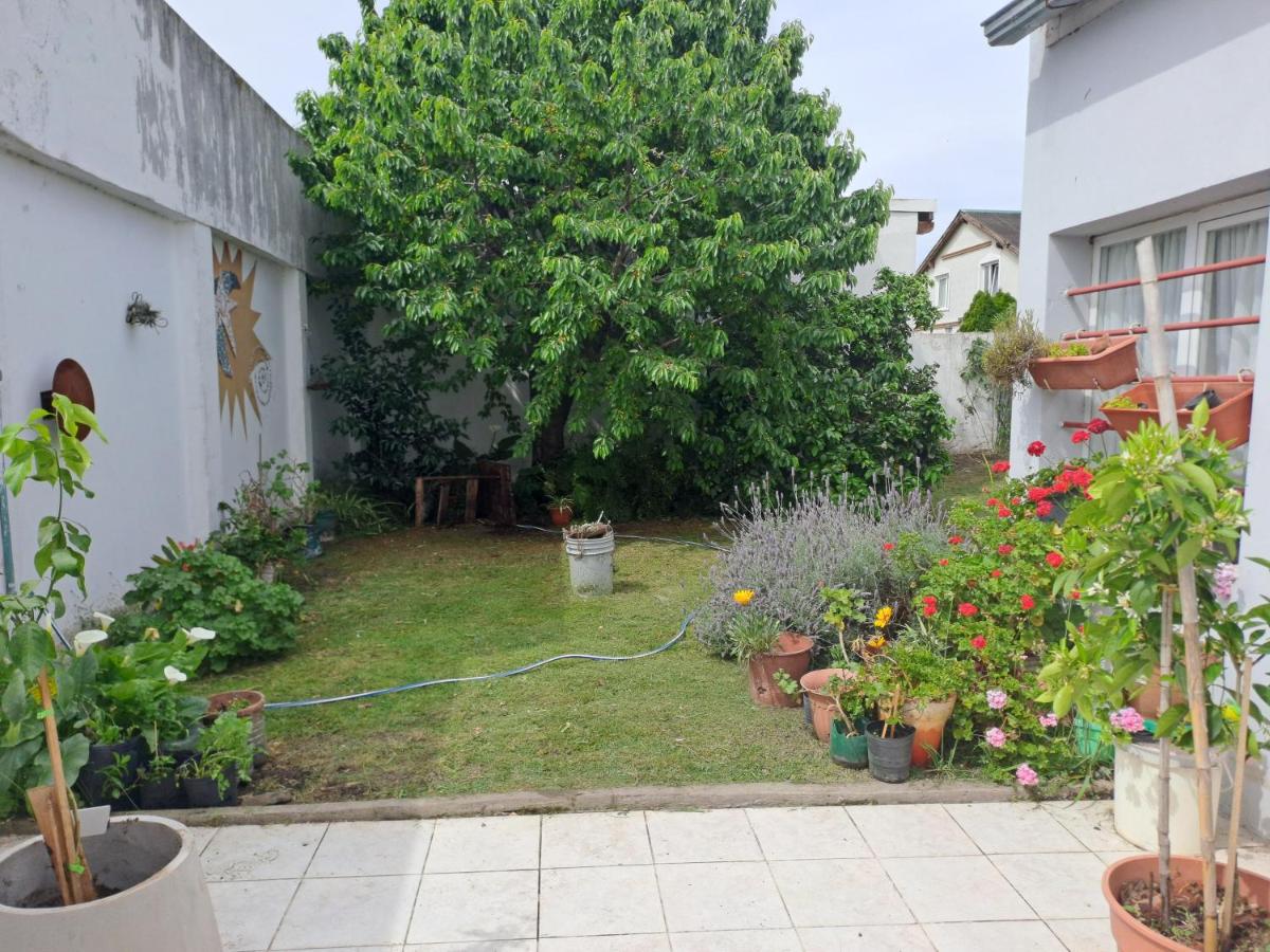 El cerezo - Housity