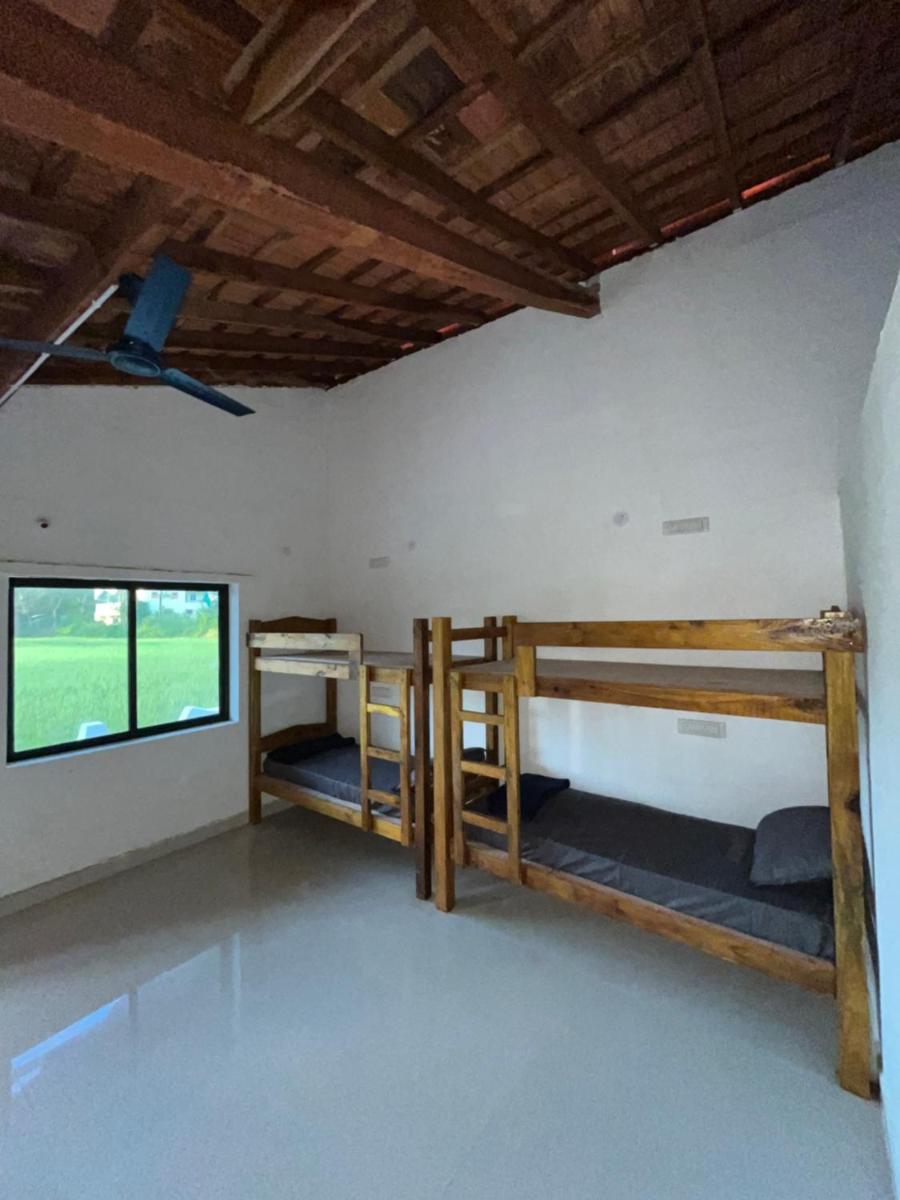Absolute paradise - Housity