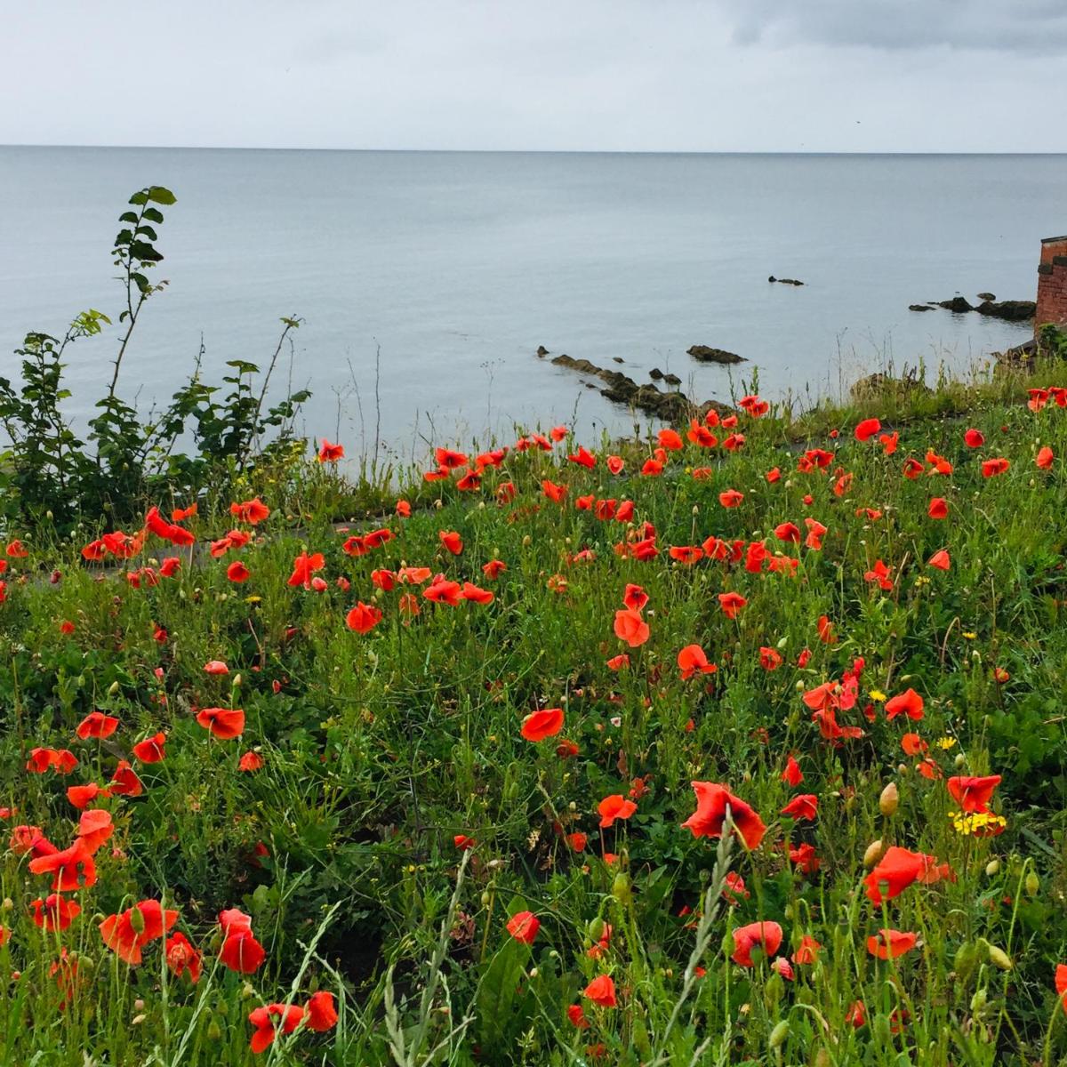 Loft apartment in Joppa - Housity