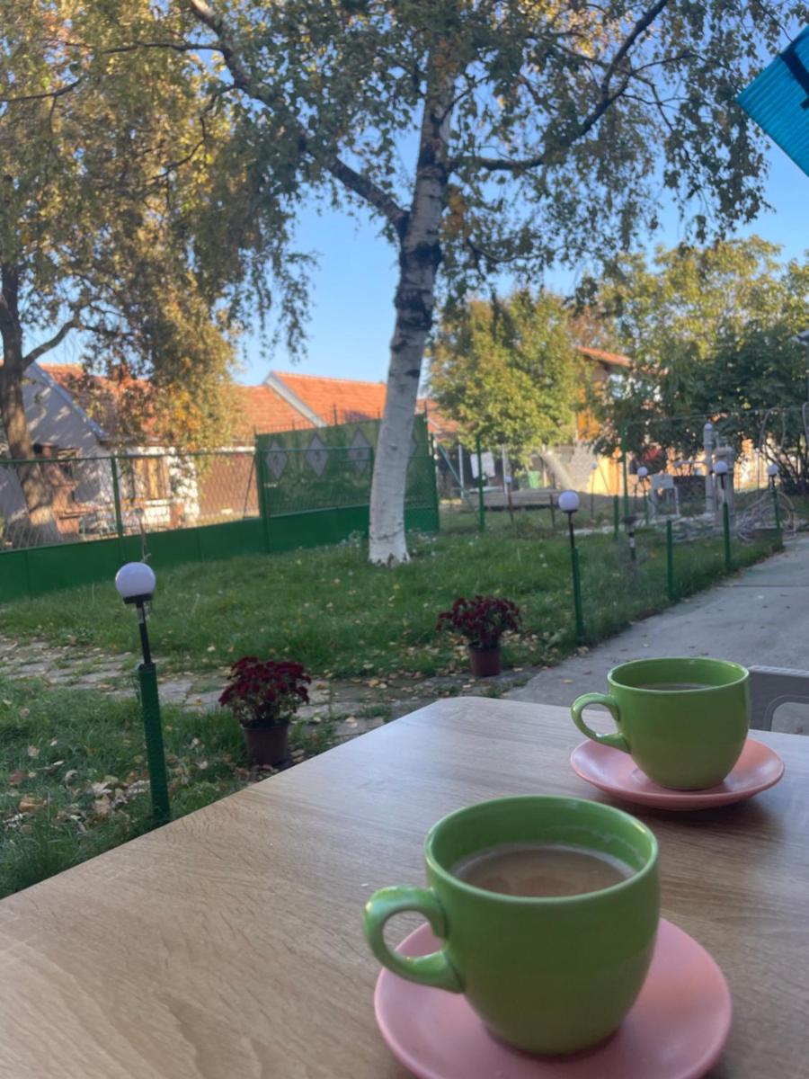 Srpska Crnja Home - Housity