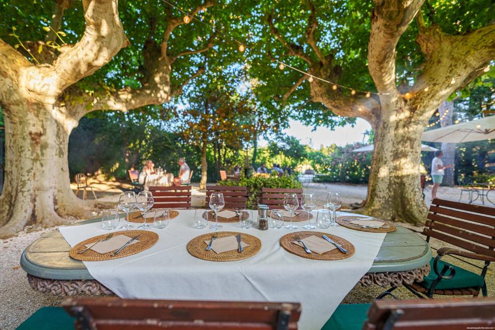 Jardin de l'établissement Hôtel Le Mas des Grès & Restaurant Sous les Platanes