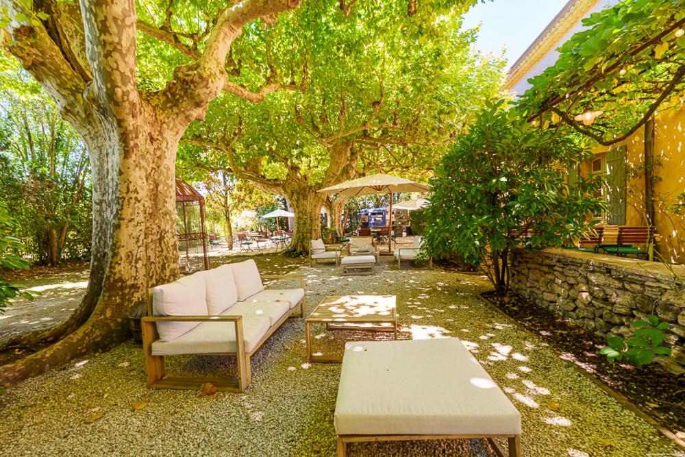 une terrasse avec des canapés et des tables sous un arbre dans l'établissement Hôtel Le Mas des Grès & Restaurant Sous les Platanes, à Lagnes