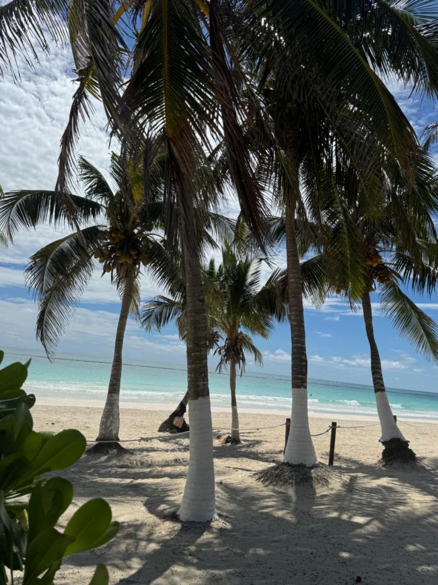 El Paraiso Hotel Tulum - Housity