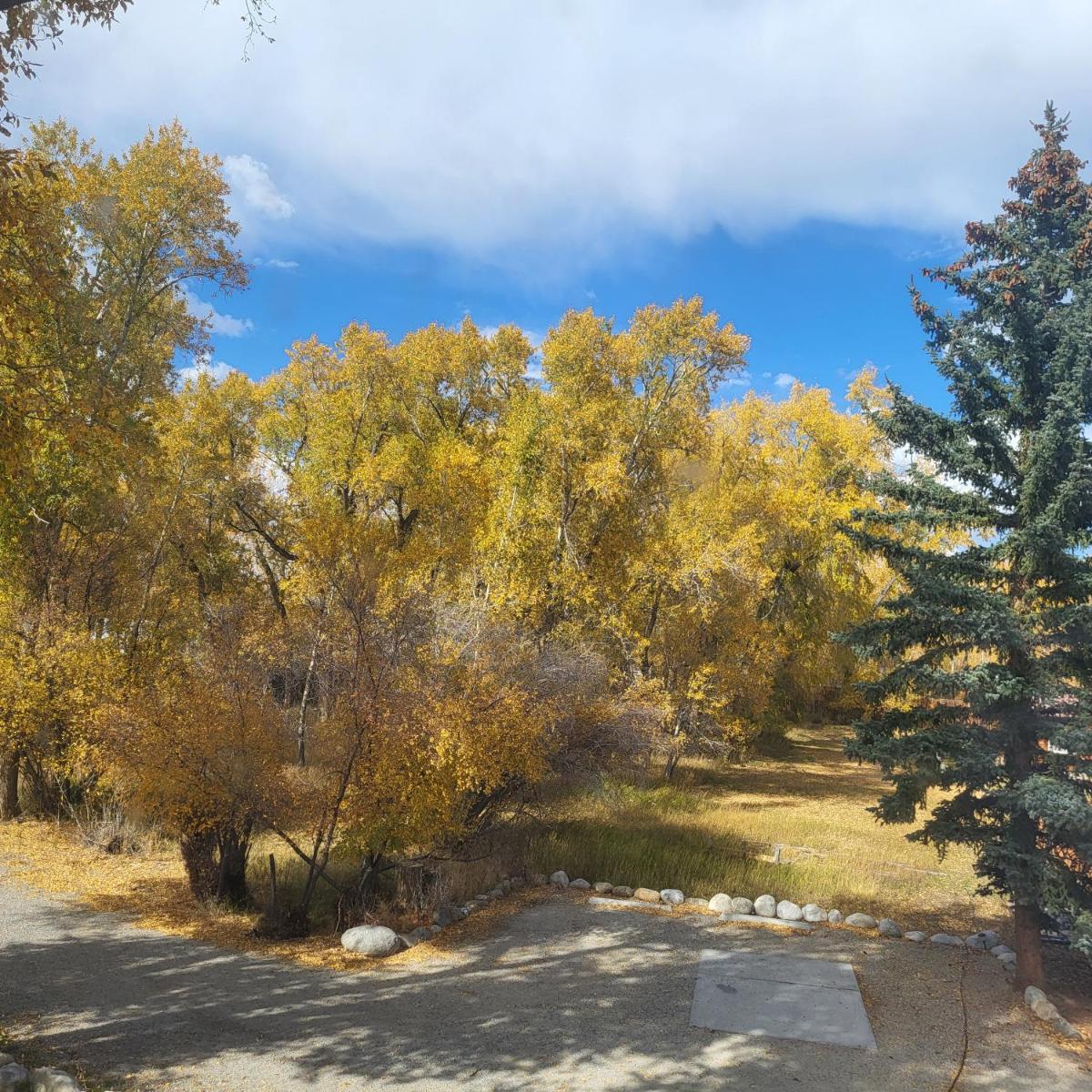 BuffaloPeaks Lodge - Housity